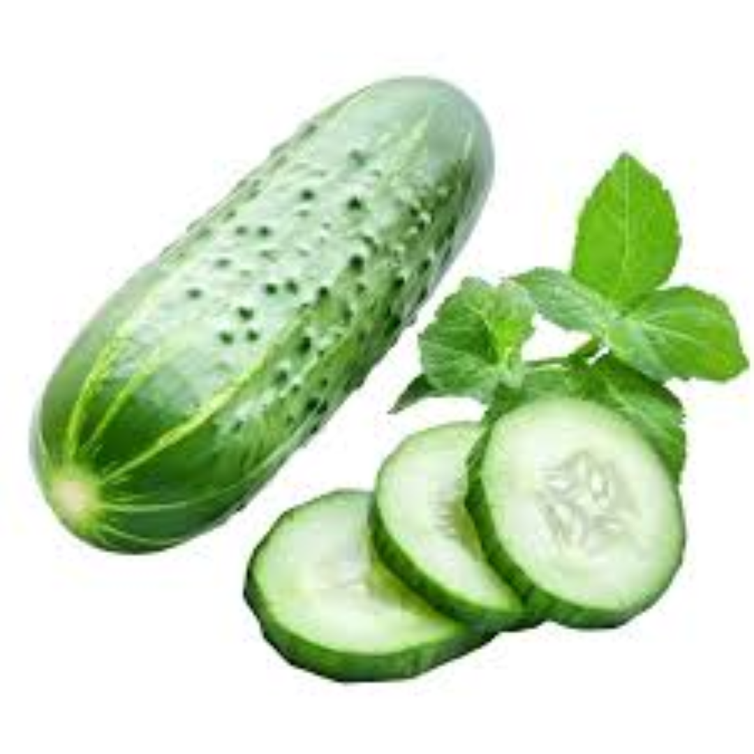 FRESH CUCUMBER LOCAL